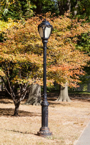 istock A Lamp Post in Central Park, New York 1311752525