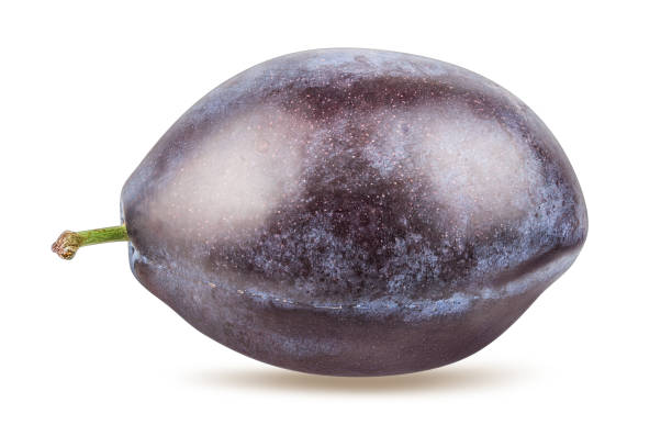 istock Plum isolated on white background with clipping path 1311756394