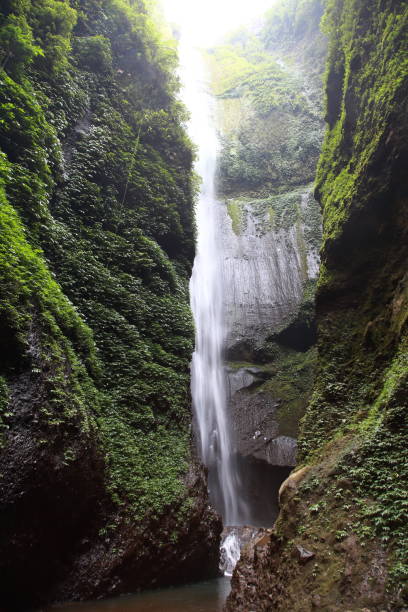 istock View of Madakaripura Waterfall, beautiful waterfall in East Java, Indonesia 1311759243
