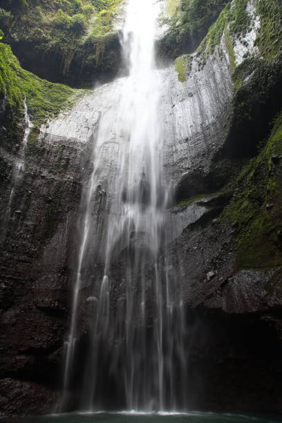 istock View of Madakaripura Waterfall, beautiful waterfall in East Java, Indonesia 1311759261