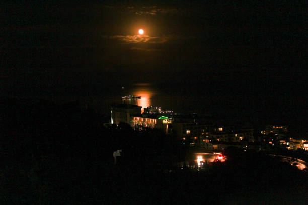 istock Moonlit night at the resort. 1311759504