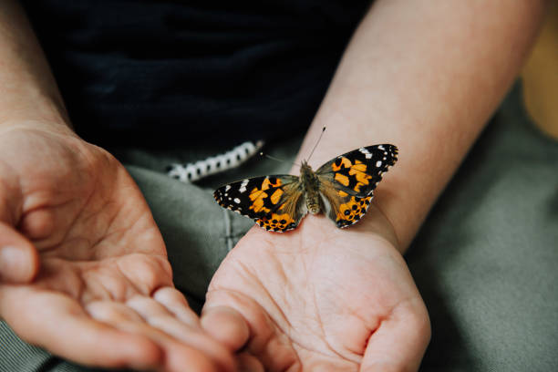 istock Butterfly lands on boy’s arm 1311760632