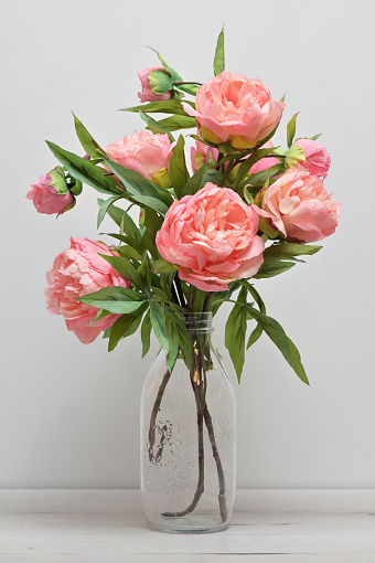 Closeup Beautiful Pink Peony Flowers in Vase