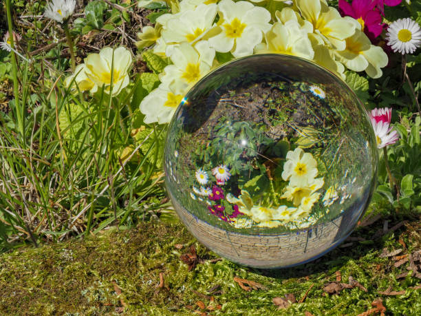 istock Sphere, crystal ball, lens ball on a flower meadow 1311765744