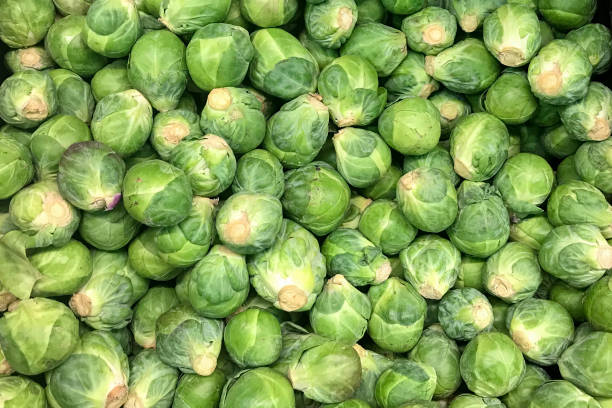 am marktstand türmten sich rosenkohl. grünes gemüse - rosenkohl stock-fotos und bilder