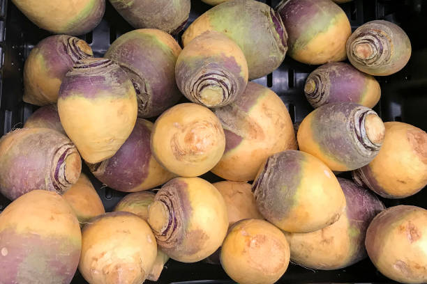 Yellow turnips vegetables piled on the market stall. Vegetable background