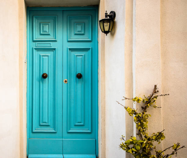 istock Light blue doors with plant on a side and and lamp 1311771135