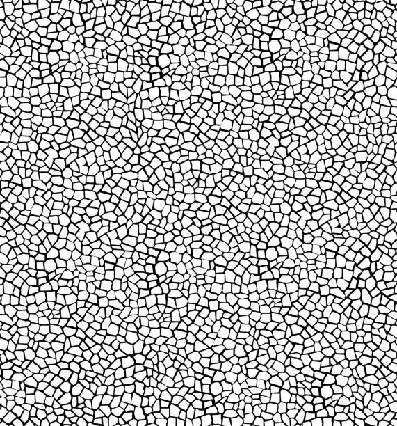 Vector illustration of Cracked stone pattern background vector illustration