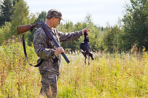 the hunter with a shotgun holds in his hand a hunting trophy - downed black grouse