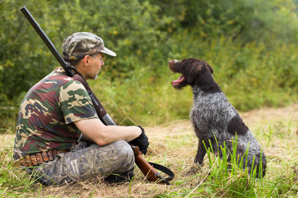 istock hunter with his dog resting on the mown grass 1311773538