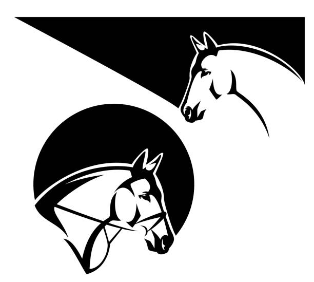 kuvapankkikuvitukset aiheesta suitnen hevonen ja villi mustang sivu näkymä pää musta vektori ääriviivat - englannintäysiverinen