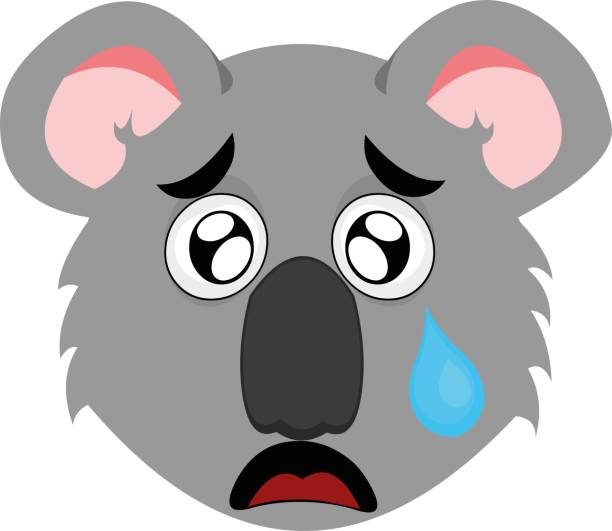illustrazioni stock, clip art, cartoni animati e icone di tendenza di illustrazione emoticon vettoriale cartone animato della testa di un koala con un'espressione triste e piangendo con una lacrima che cade dall'occhio sulla guancia - male animal mammal animals in the wild fur