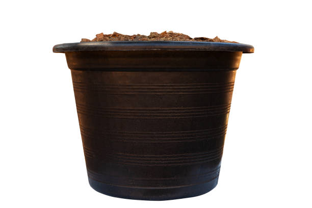 black flowerpot with isolated on white background