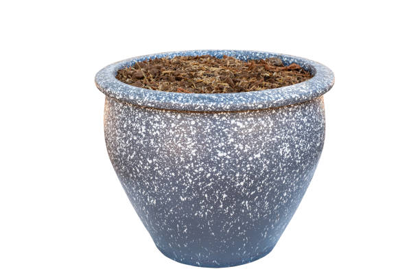 black flowerpot with isolated on white background