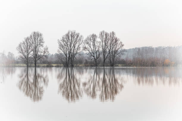 istock High water floodplains Rhine 1311783634
