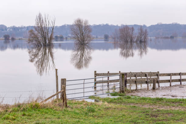 istock High water floodplains Rhine 1311783638