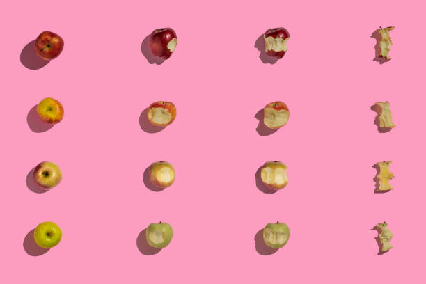 Eating apples creative pattern. Four sorts of apples being bitten design. stock photo