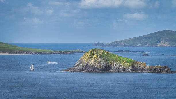 딩글 반도의 작은 바위 섬 사이를 항해하는 요트와 모터보트 - republic of ireland famous place dingle peninsula slea head 뉴스 사진 이미지