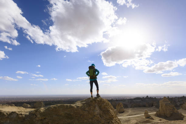 istock Successful backpacker standing on sandy hill top in desert 1311788474