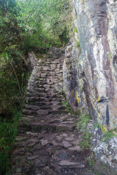 istock Steep trail leading to Machu Picchu mountain, Peru 1311788519