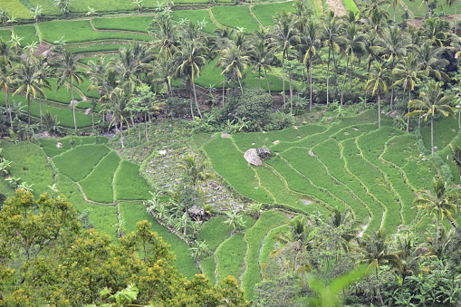 BEAUTY OF NATURAL TOURISM CEMORO SEWU GUMUK RECO, SEMARANG DISTRICT