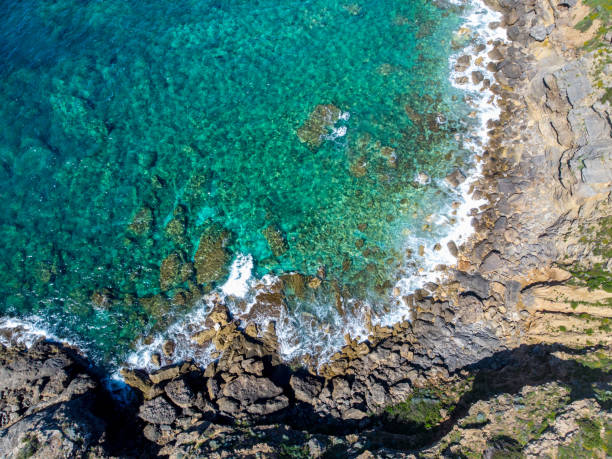 istock Aerial view of Alghero shore rocks and clear water 1311794929