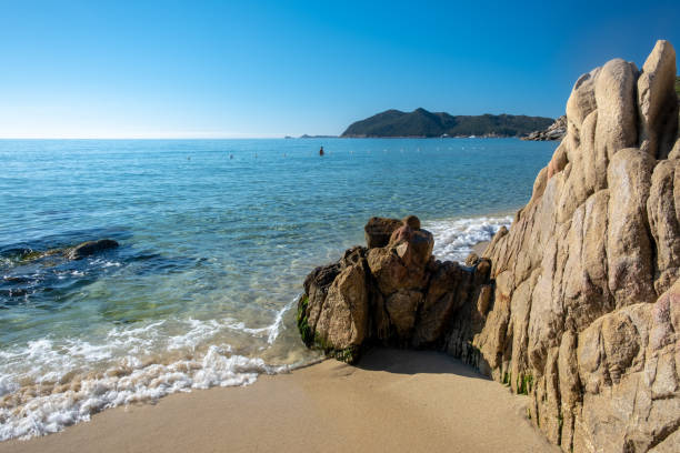 istock Cala Monte Turno, Sardinia, in a summer day 1311795224