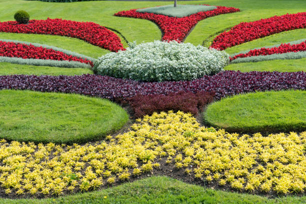 istock Ornamental garden 1311800068