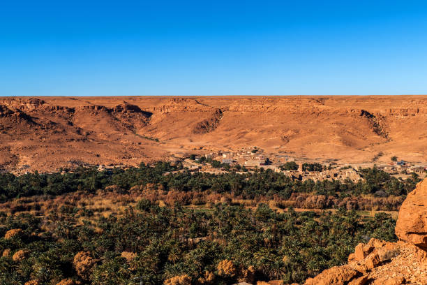 istock Mountain view with oasis in High Atlas, Morocco 1311800099