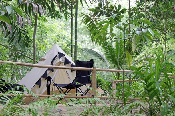 istock Tent and chair in a lush tropical rainforest 1311803215