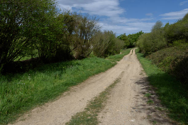 istock dirt road between fields of grass that advances towards the horizon. 1311808627
