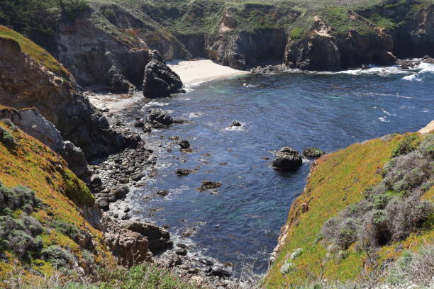 istock Garrapata State Park in California 1311809480