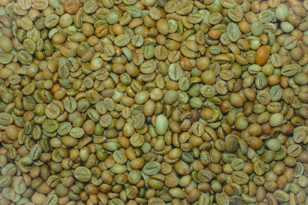 Close up coffee beans background. Green bean coffee