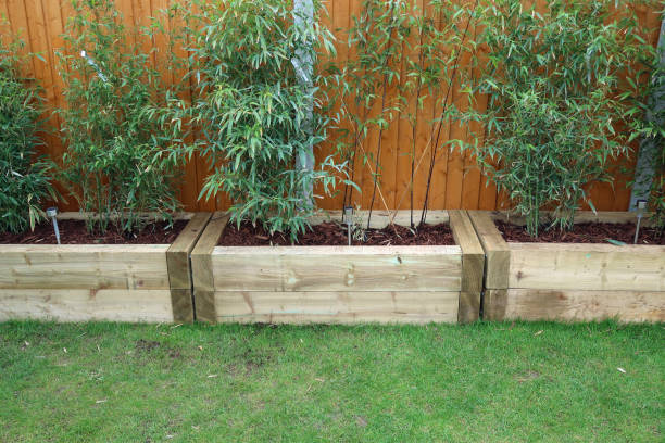Raised beds made with railway sleepers and planted with bamboo privacy screening