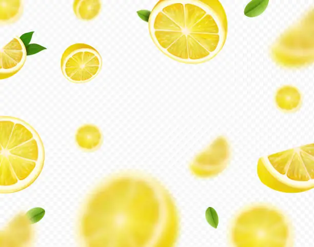 Vector illustration of Fresh lemon fruit with green leaves. Falling lemon slices Motion blur on transparent background. Vector illustration