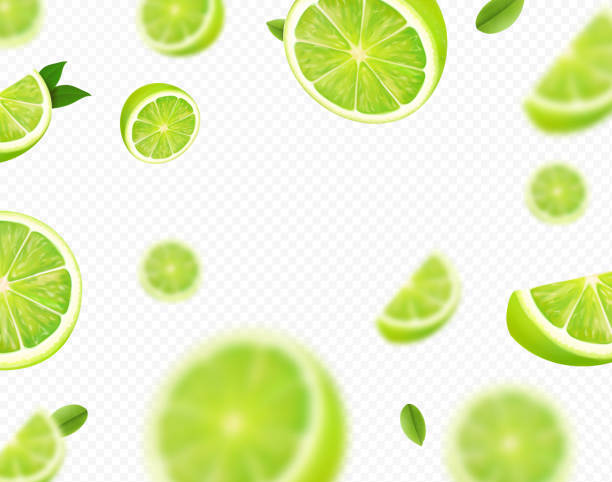 Falling lime fruit. Green slices of realistic lime, blurred motion on transparent background. Citrus fruits vector Falling lime fruit. Green slices of realistic lime, blurred motion on transparent background. Citrus fruits vector 3d illustration. lemon fruit stock illustrations