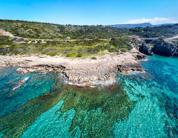 istock Aerial view of Alghero rocky shore in springtime 1311822558