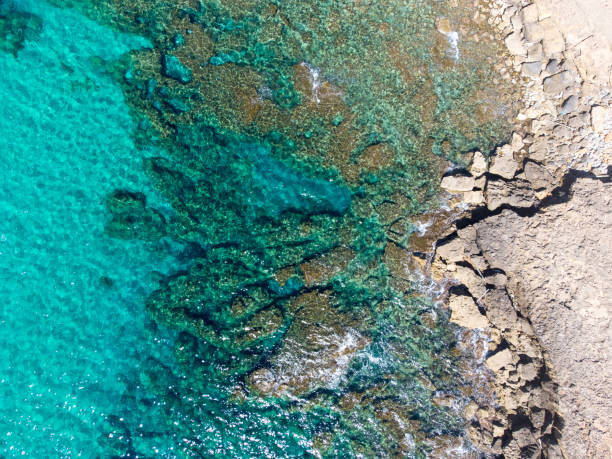 istock Clear water and rocks seen from above in Sardinia 1311822621