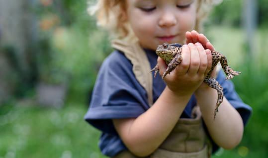 Asian girl playing with a little frog.