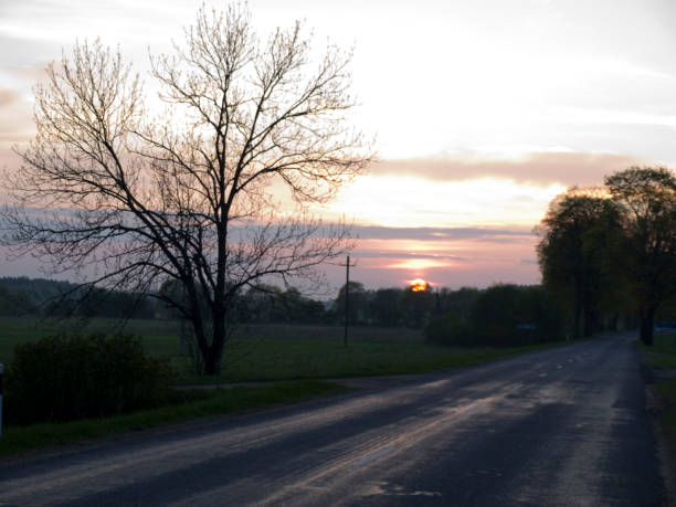 istock Automobile road at evening sunset. 1311826165