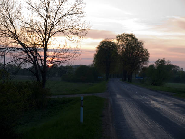 istock Automobile road at evening sunset. 1311826193