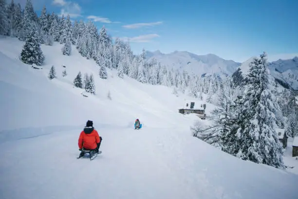 They head towards winter cabin near forest and snowy Swiss Alps