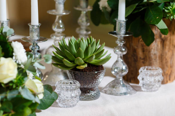 Newlyweds table setting decorated in rustic style. Nature theme in decoration