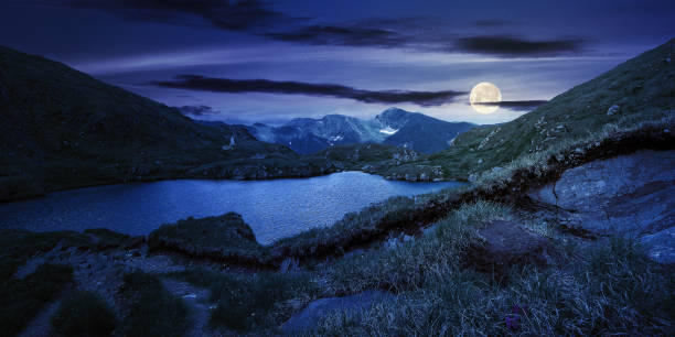 istock summer landscape with lake at night 1311832764
