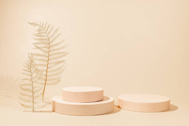 istock Abstract background with geometric podiums 1311833578