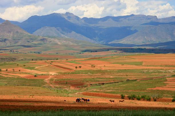 traditionelle landwirtschaft und berglandschaft malealea lesotho - lesotho stock-fotos und bilder