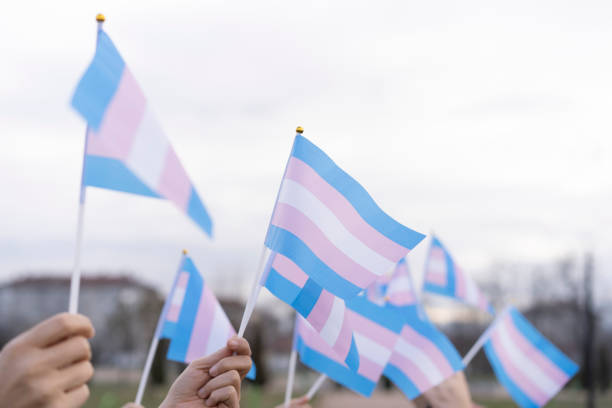istock Diverse people holding transgender flags 1311835688