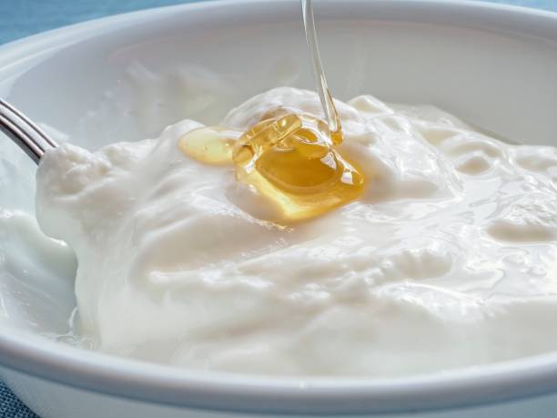 크림 그리스 바닐라 요구르트 에 a 화이트 그릇 와 꿀 - greek yogurt 뉴스 사진 이미지