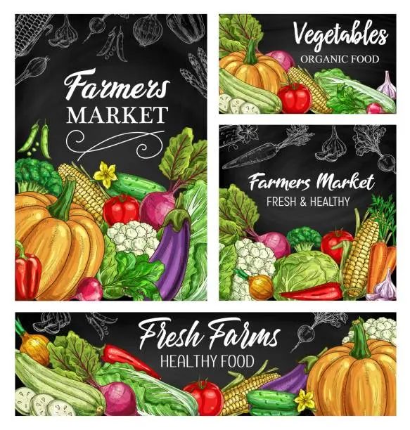 Vector illustration of Vegetable sketches on blackboard, fresh farm food