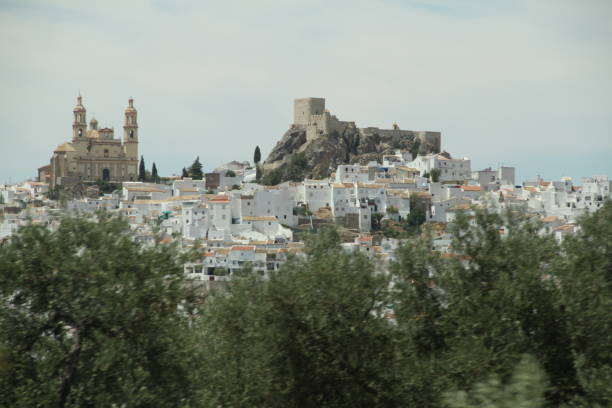 istock IMpressions of Andalusia 1311837727